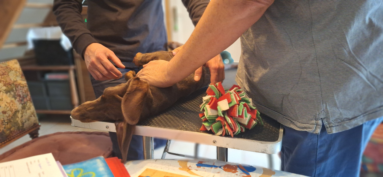 [Image: 20251002-174353.jpg]