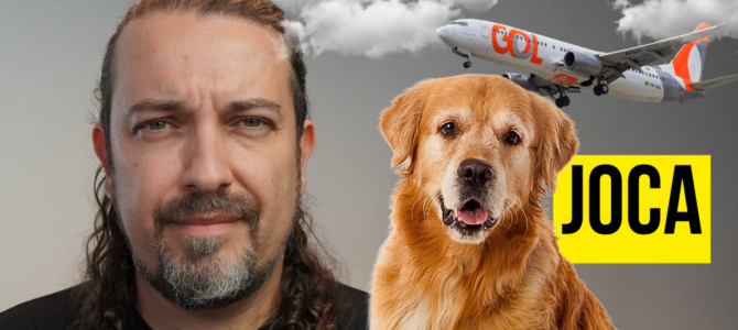 Caso do cachorrinho Joca, que morreu no avião da Gol, pode gerar mudanças reais