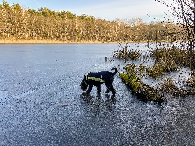 A7035-AFA-533-E-437-F-ADDB-6-B7-D6-AB797