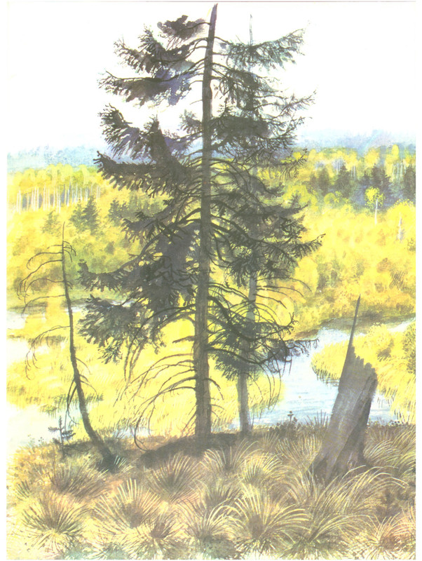 p0026