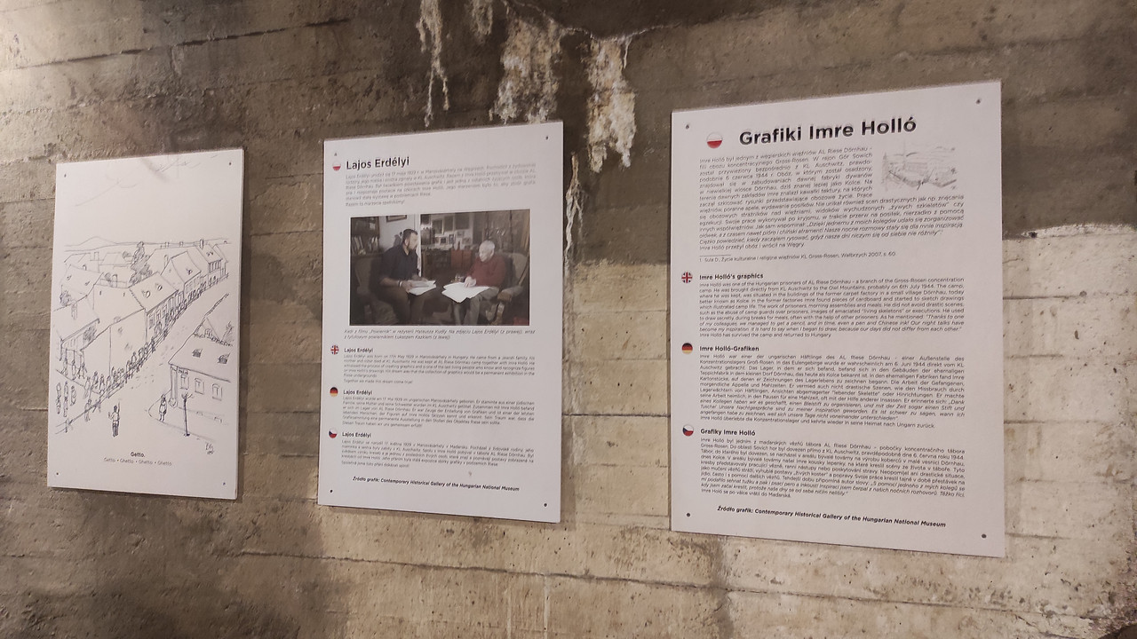 11.15 - IMG_20230501_105722 Czesio1)