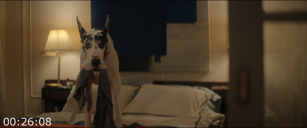 [Image: ounq30uy2e9i.png]