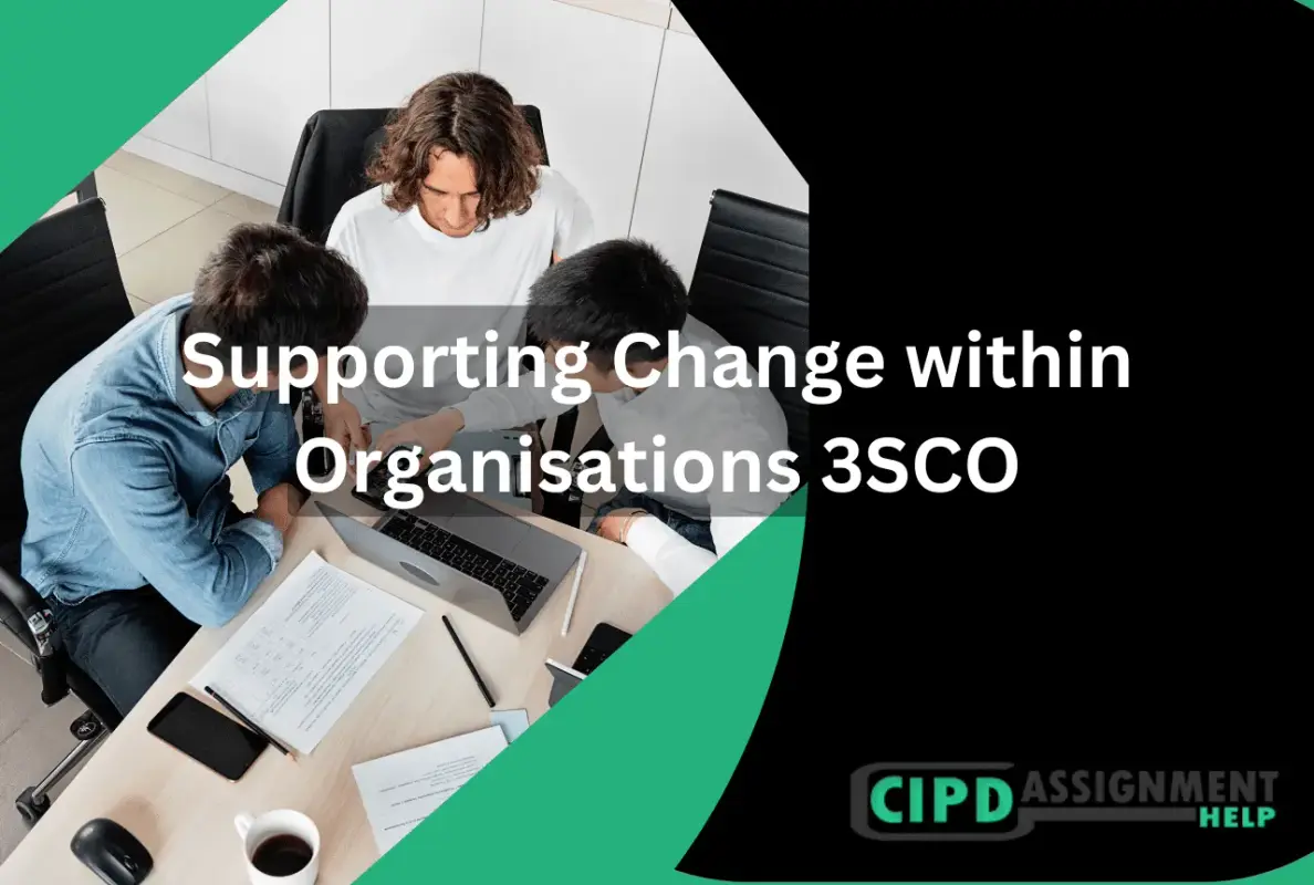 Supporting Change within Organisations 3SCO