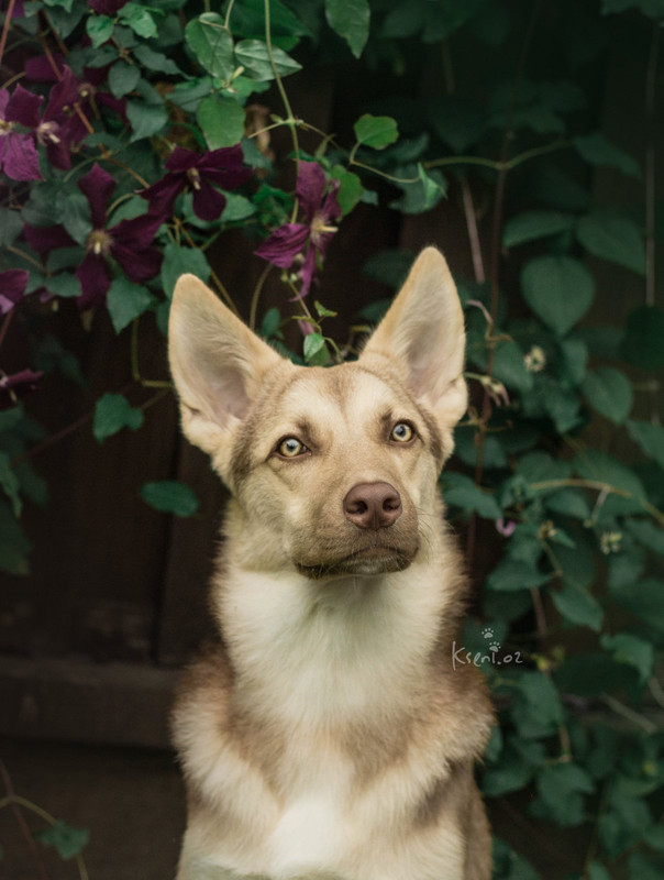 изображение_viber_2021-08-21_16-06-55-853