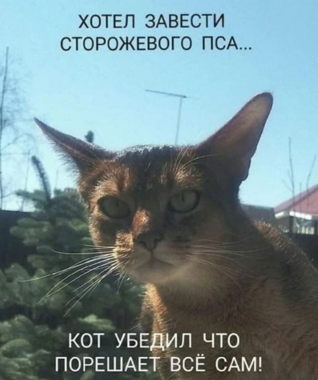 spacer.png