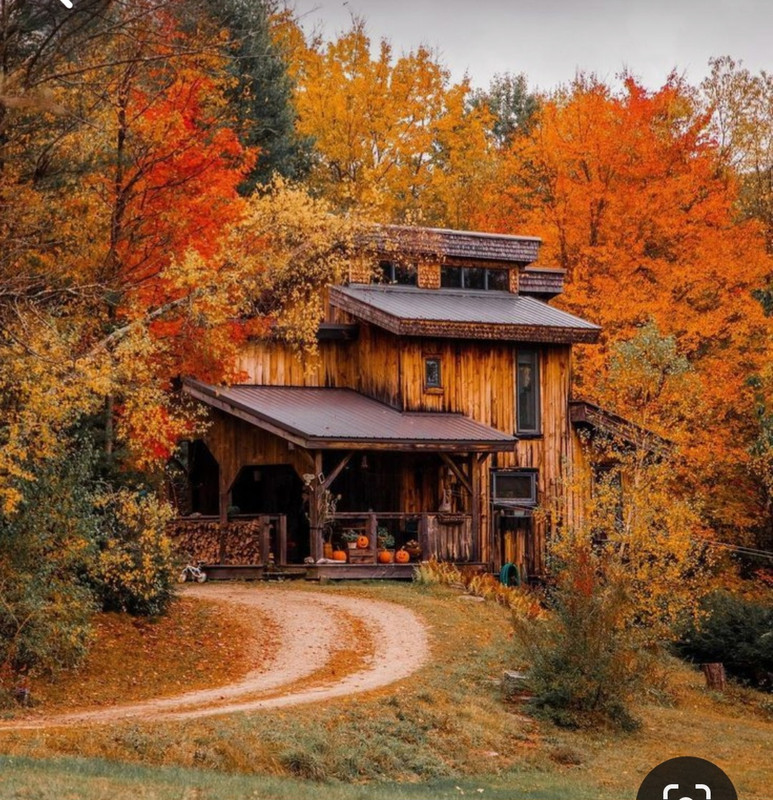 Screenshot_20231217_224459_Pinterest