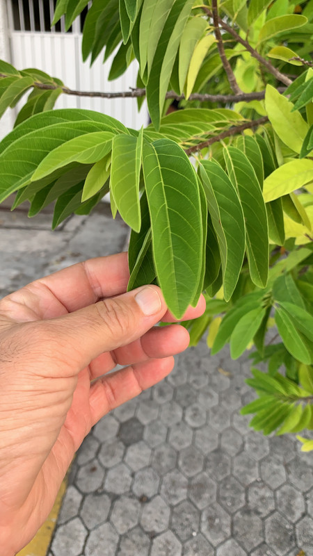 E4067621-ED5A-4A83-BD96-FCFAE2339A8C