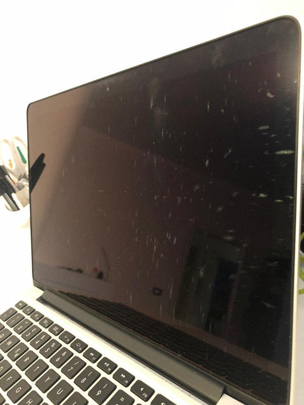 WhatsApp Image 2019-07-12 at 08.40.39 (1)