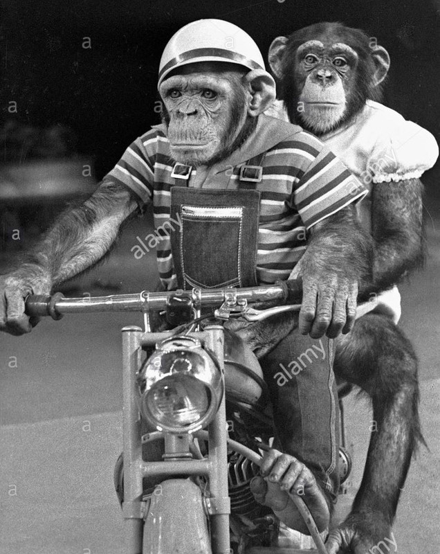 B0BB5B2A-F638-4512-8744-D16D8343EA21