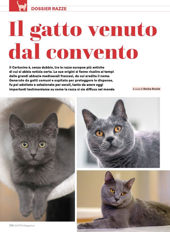 Ga Ma Feb-Mar 2025 (3)