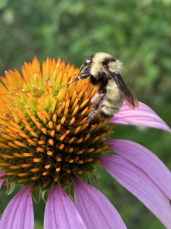 AB131056-9EC9-47A6-9C4C-7F8A4A6F4C29