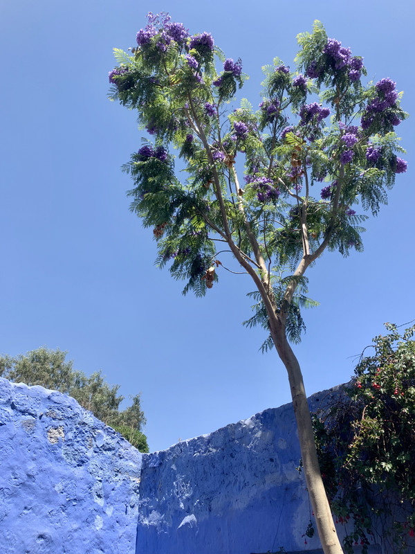 E7689756-BD45-4853-82E4-4DCA126508C9