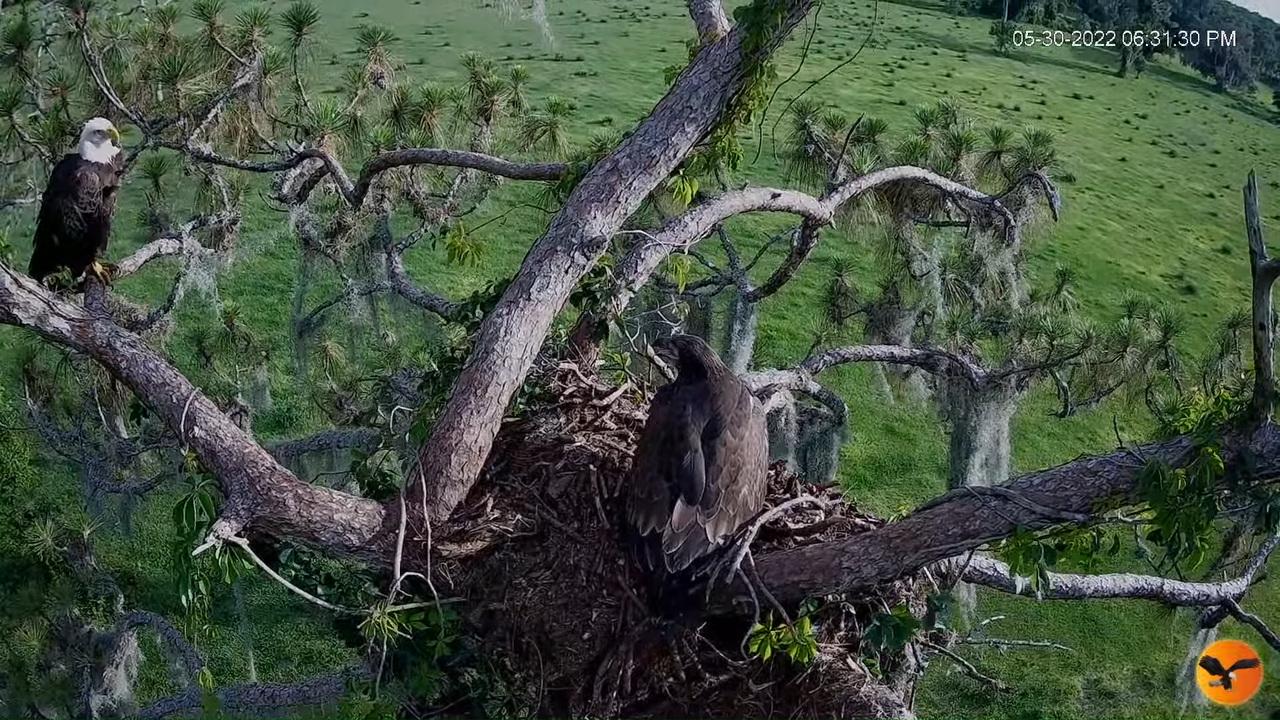 EC 4K Overhead Cam 10-5-37 screenshot