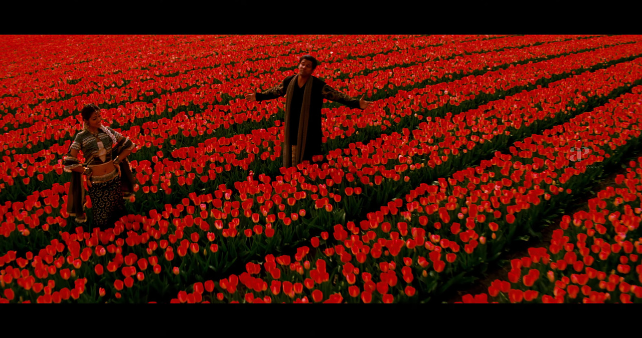 VideoCapture_20241122-200659