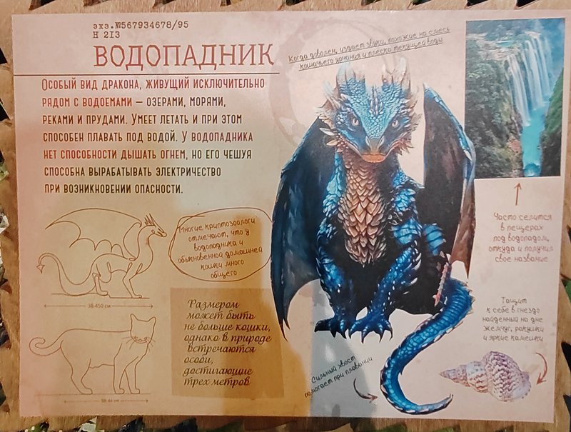 https://i.postimg.cc/XNdXVYF4/241-IMG-20250128-153523.jpg