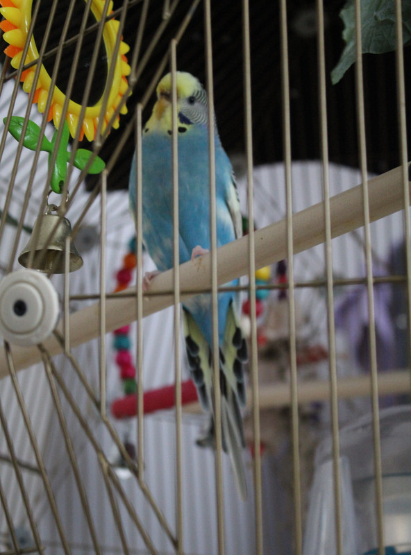 20230724111046 img 0572 — Postimages
