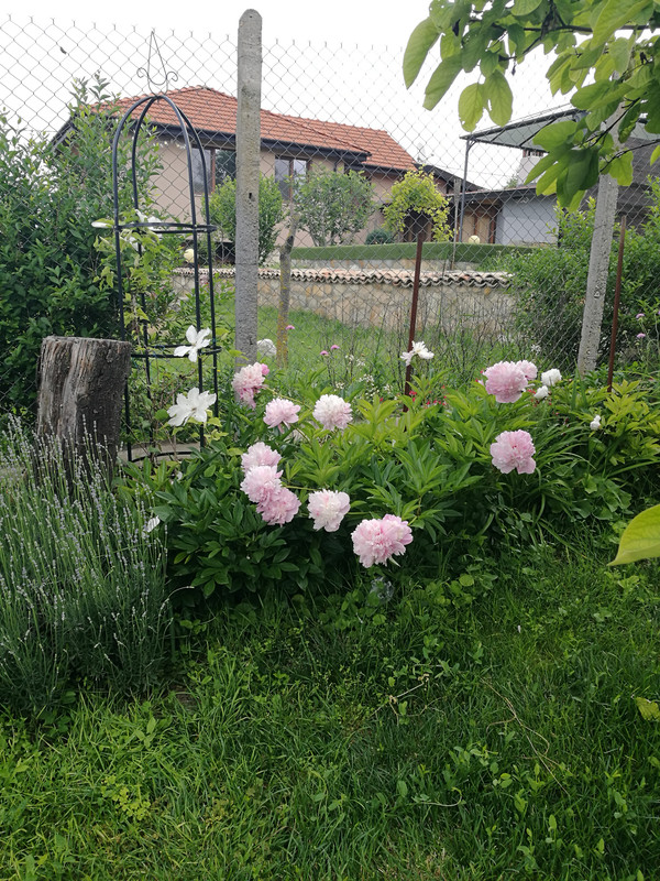 IMG_20230604_090917