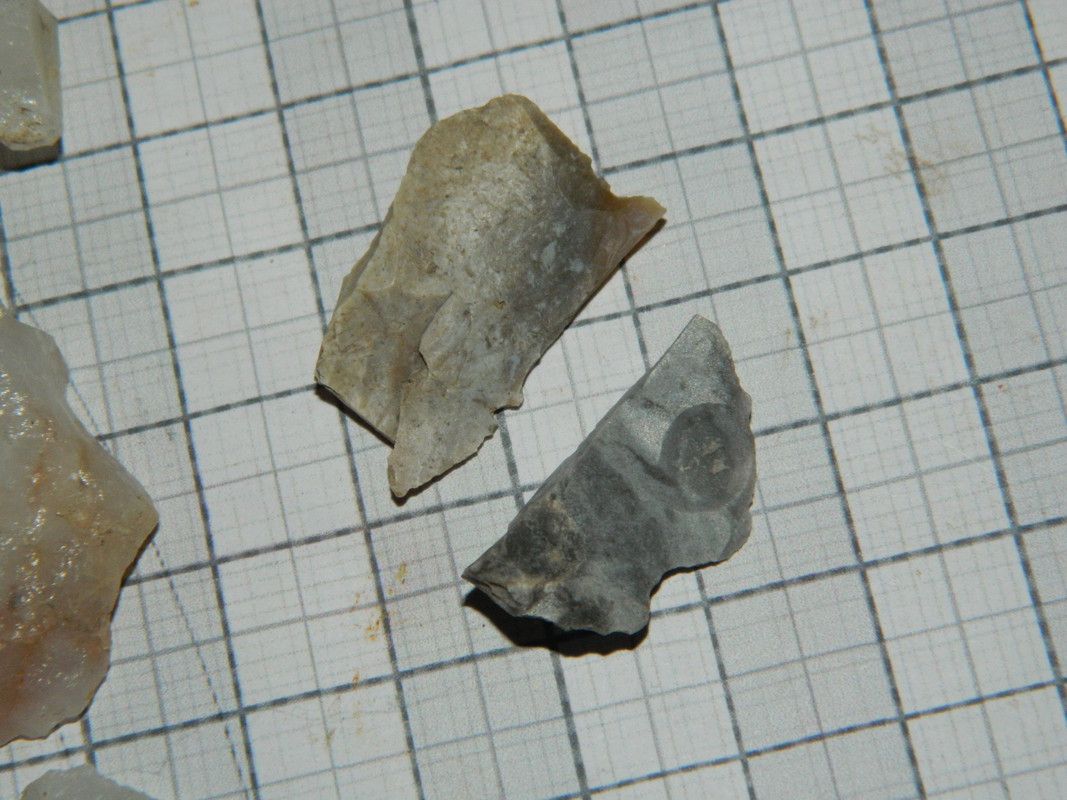 kvartsia 011