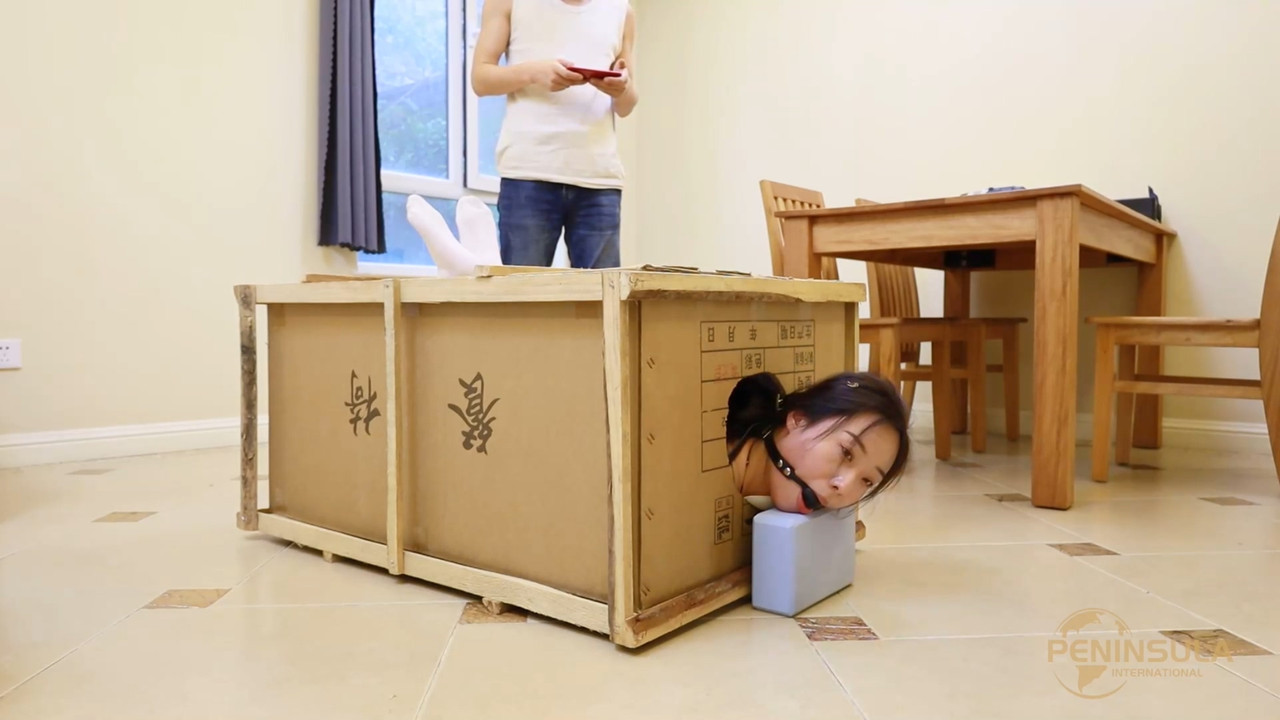 半岛束艺 我是一只寄居蟹 奎因.mp4_20221030_130217.283