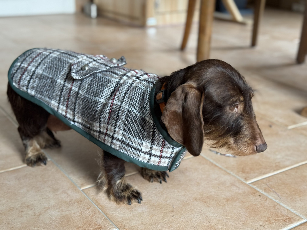 [Image: IMG-3327-1.jpg]