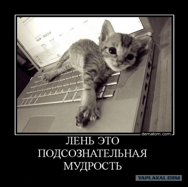 https://i.postimg.cc/XNfRccfk/3760760.jpg