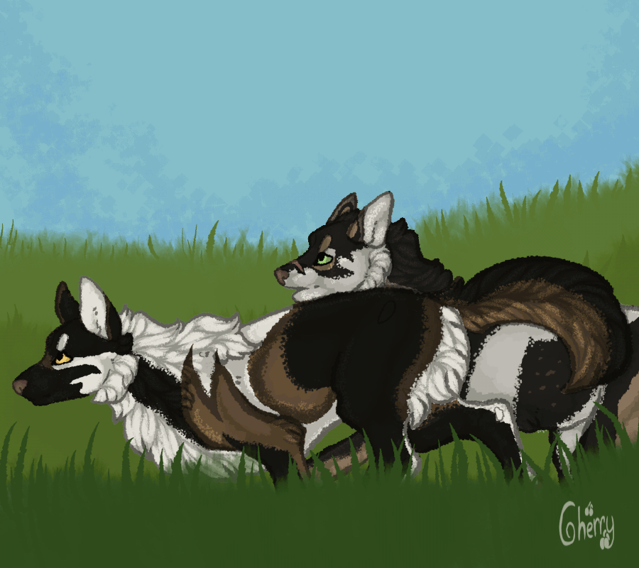 IMG-3646.gif