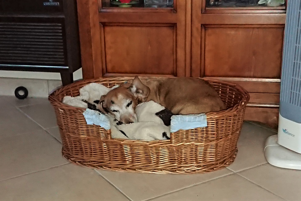 [Image: DSC-1780.jpg]