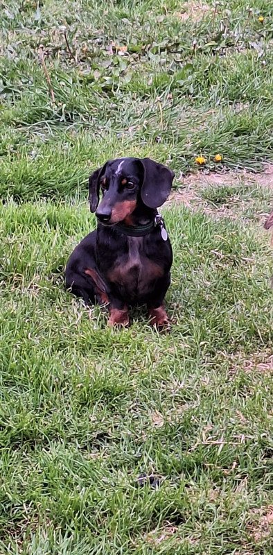 [Image: IMG-20251028-071612.jpg]