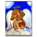 [Image: 645216angedeteckelcartepostalerf234e84e8...yvr152.jpg]