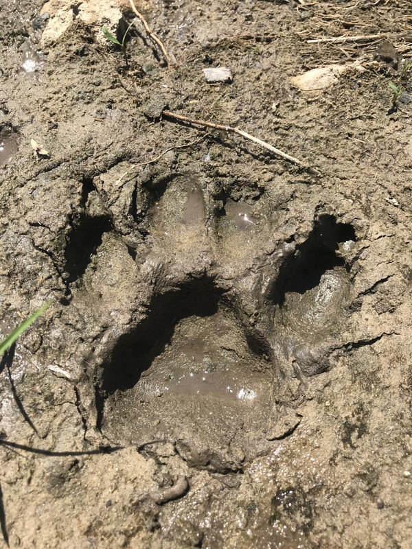 3F0322E2-7A0B-4C37-A591-EE69FA3289D6