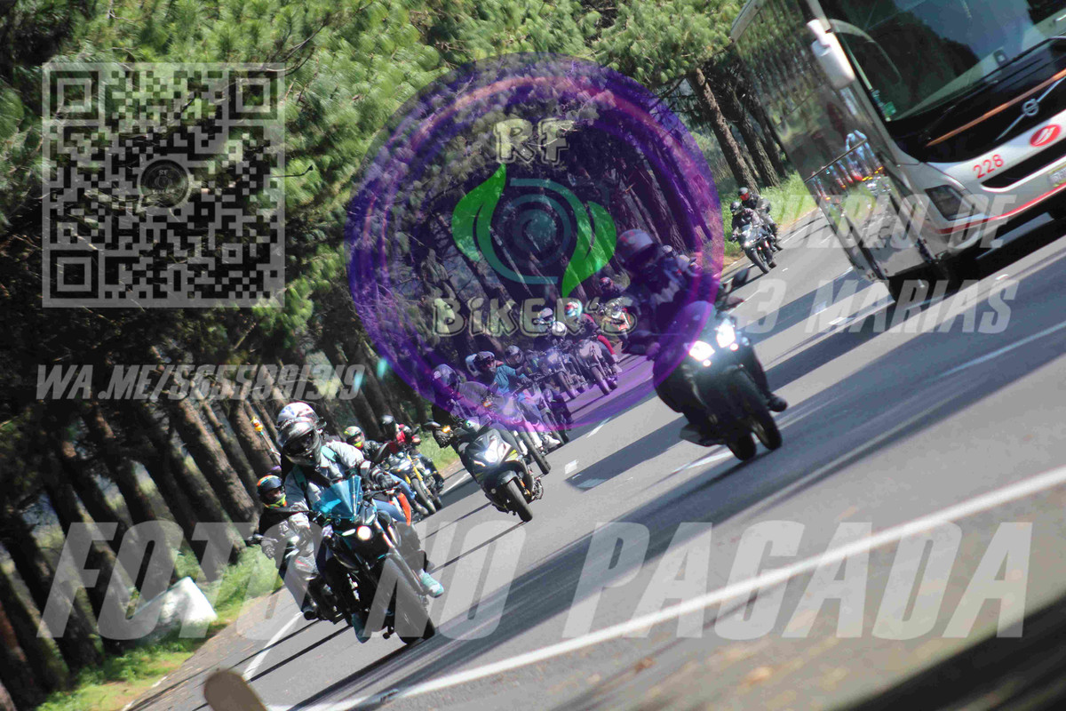batch IMG 3395 — Postimages
