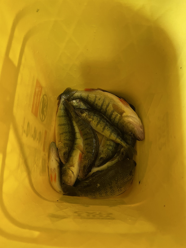 EDC3D0A0-D901-40AF-904A-EF7C6D367CB3