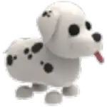 Dalmatian