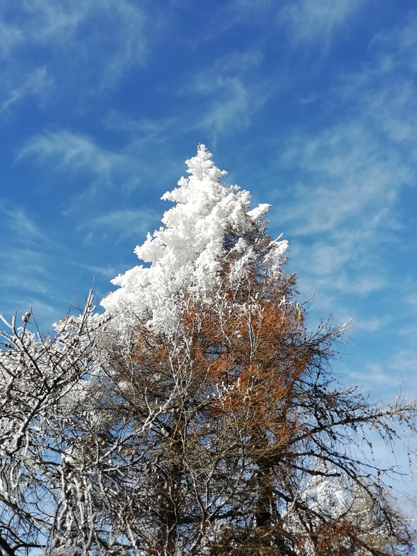 IMG_20190118_150627