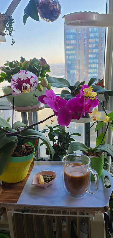 [Image: 20230413-075450.jpg]