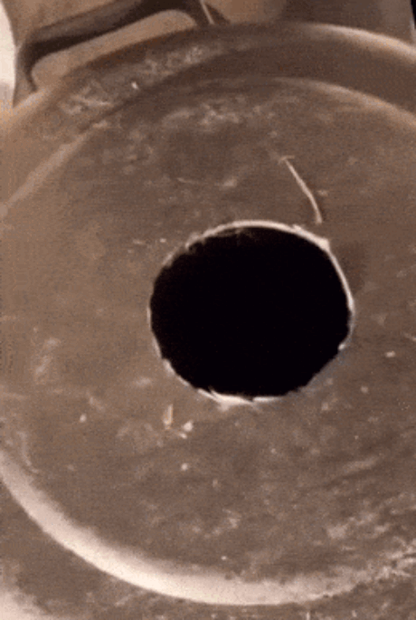 21.gif