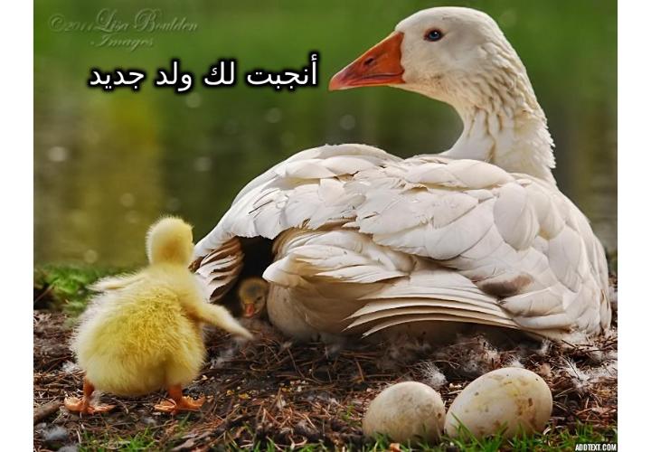 ���� ���� ������ �� ���� ������