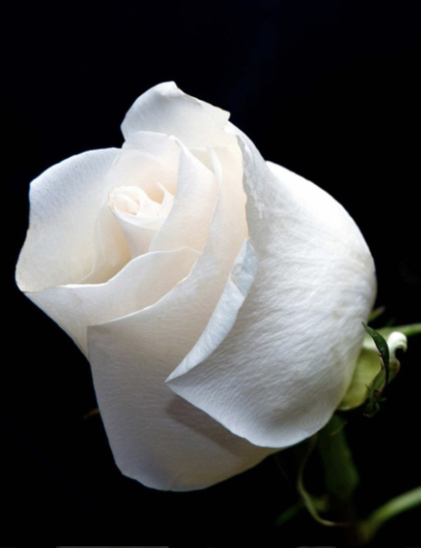 71036D71-3AC0-44E0-B7A3-468F61A3393F