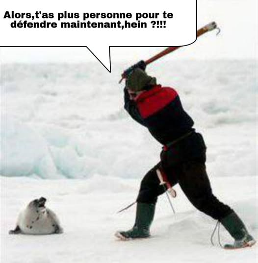 Humour divers - Page 17