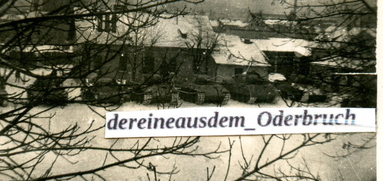 Foto s. Panzer Abt. PzKpfw V & VI Panther & Tiger II (2)