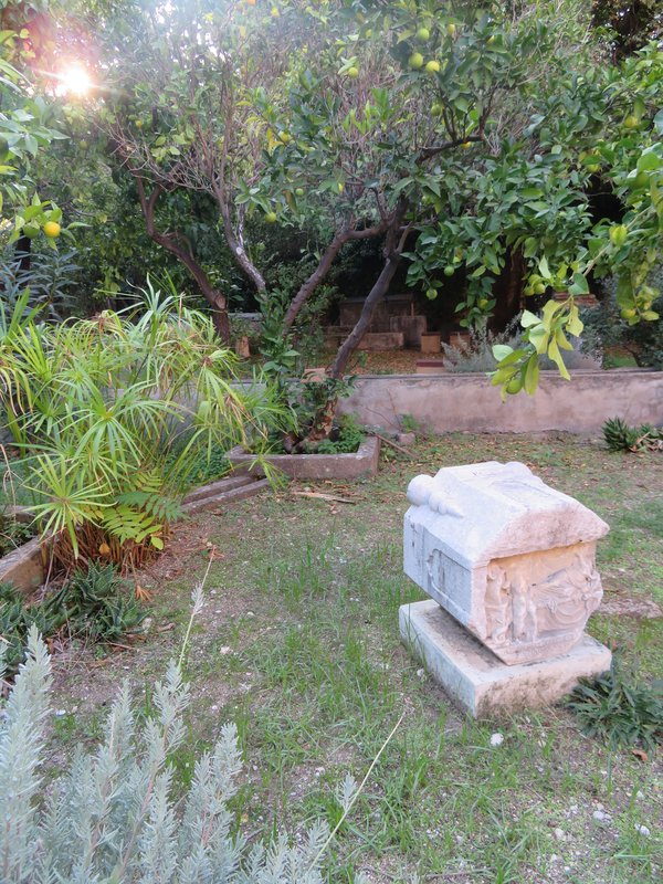 https://i.postimg.cc/XNhGLK4M/IMG-1648.jpg