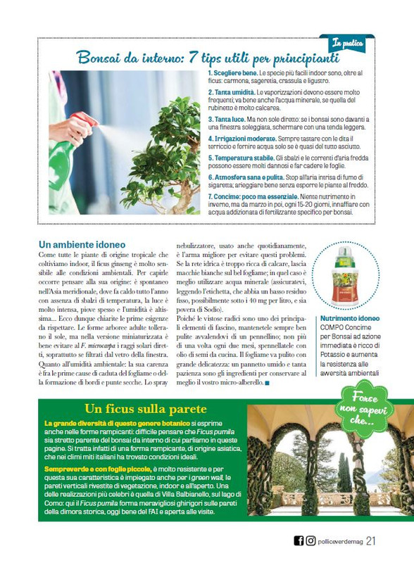 Pol Ver Mar 2024 (4)