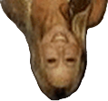 spacer.png