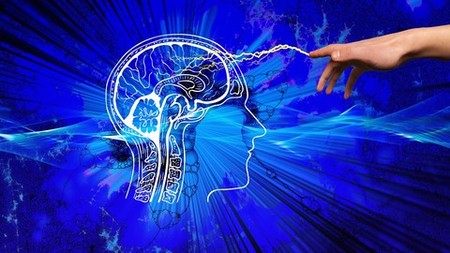 Neuroplasticity: Rewiring Brain Made Easy by a Professor