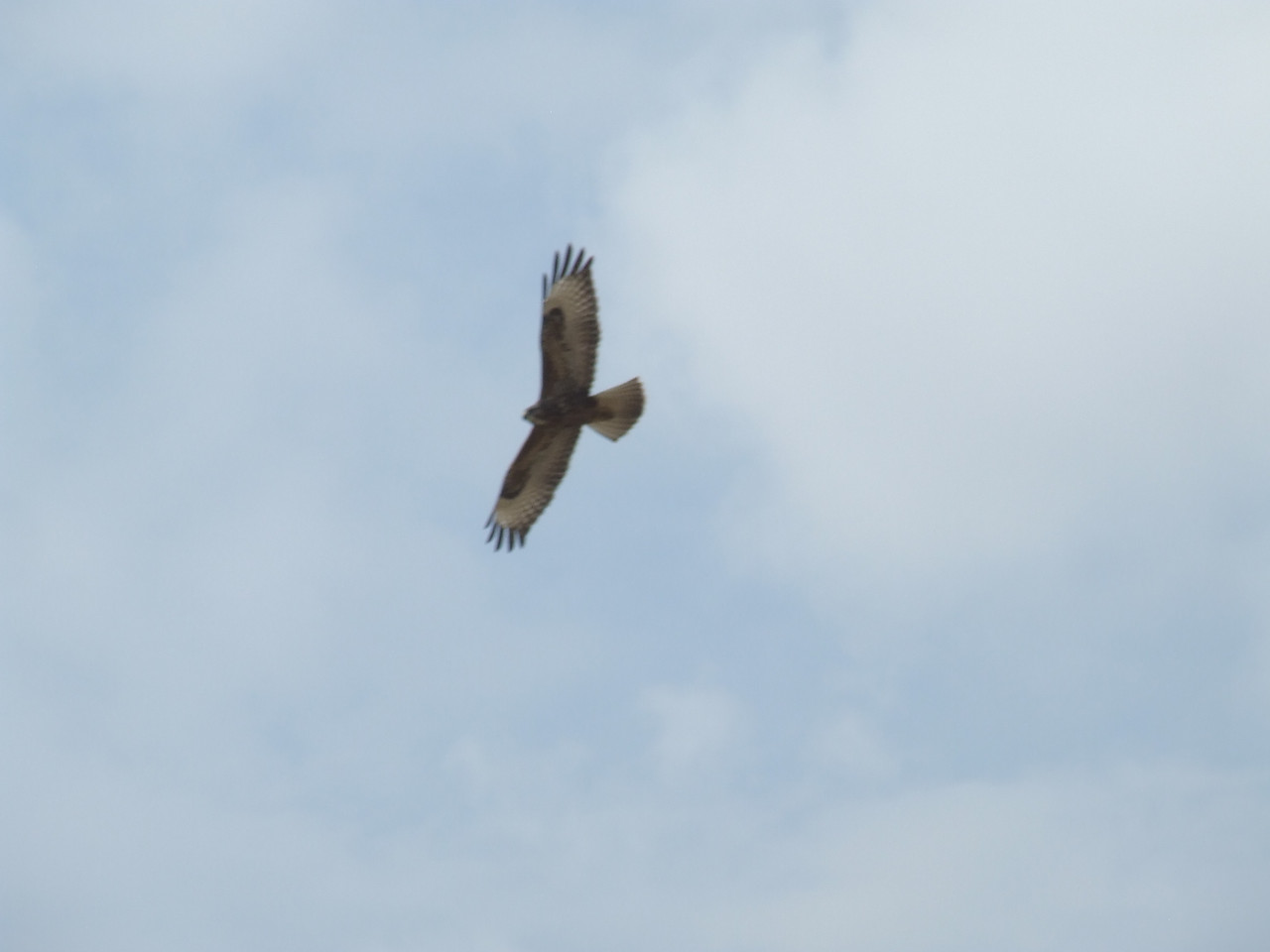 DSCF0777.jpg