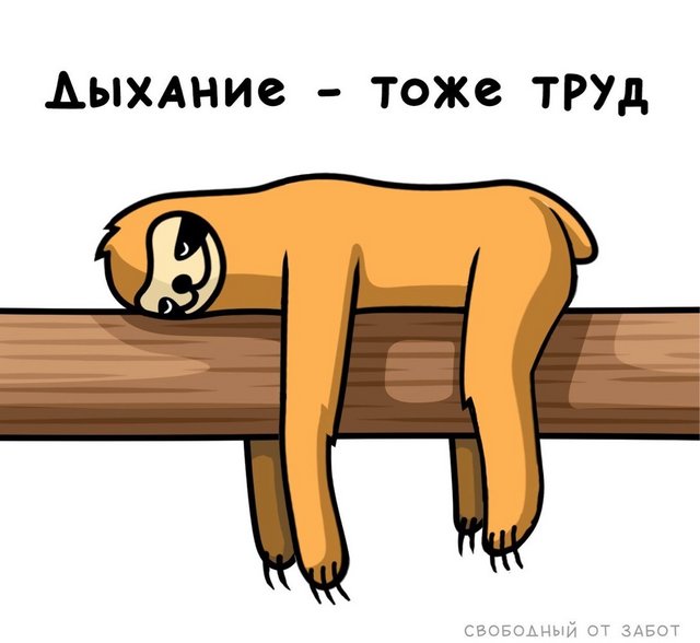 https://i.postimg.cc/XNkCfgBv/17303674.jpg