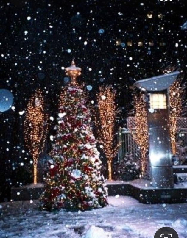 Screenshot_20231005_234542_Pinterest