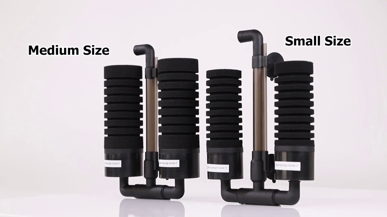 Best Sponge Filter for 75 Gallon Tank Comprehensive Guide