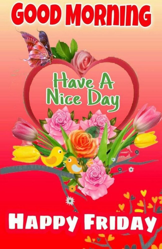 An den Beitrag angehängtes Bild: https://i.postimg.cc/XNksJdS2/oie-774727h6y-X2-EBb.jpg