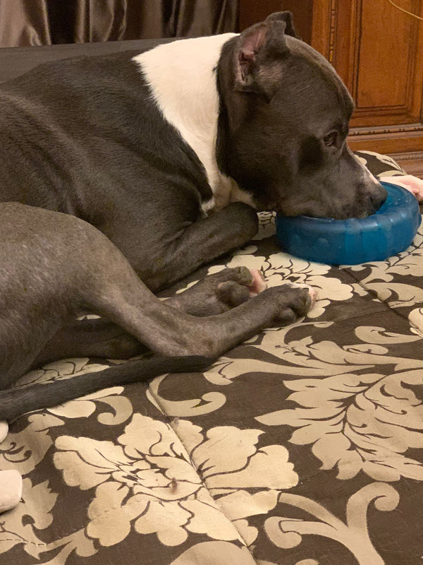 E31B9534-4868-4F42-B42C-211488C3B146